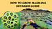 How to Grow Makhana Plant