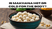 Makhana Hot or Cold for the Body?